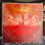 Black Moth Super Rainbow Signed Lenticular Album