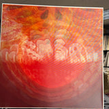 Black Moth Super Rainbow Signed Lenticular Album