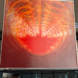 Black Moth Super Rainbow Signed Lenticular Album