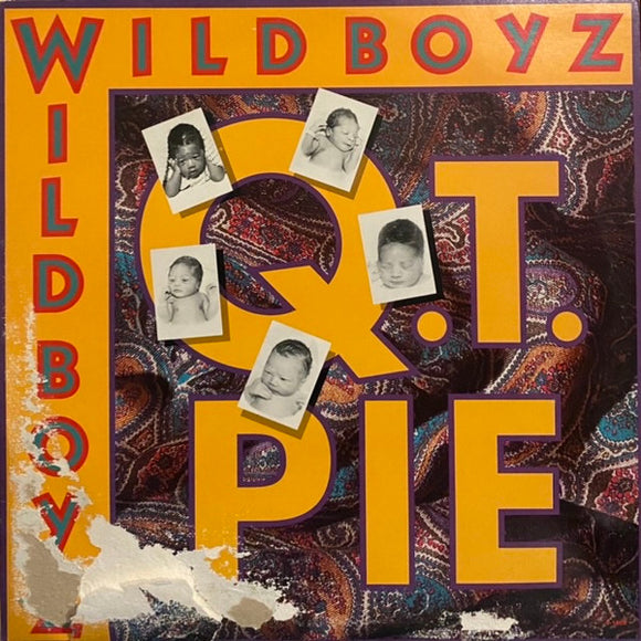 The Wild Boyz : Q.T. Pie (12