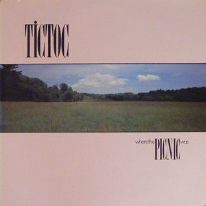 Tictoc : Where The Picnic Was (LP, Album)