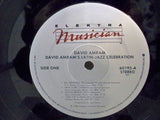 David Amram And Friends : Latin-Jazz Celebration (LP)