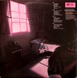 Planet P Project : Pink World (2xLP, Album)