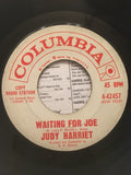 Judy Harriet : Waiting For Joe / She’s Got Everything (7", Promo)