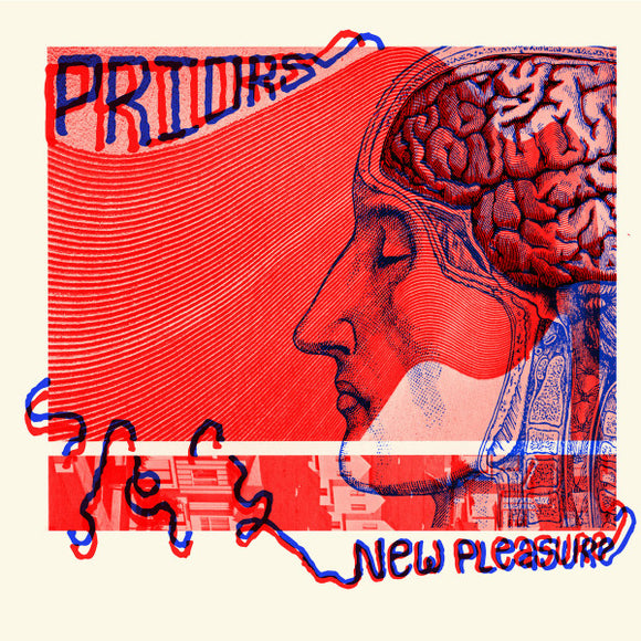 PRIORS (2) : New Pleasure (LP, Album)