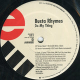 Busta Rhymes : Do My Thing / Abandon Ship (12", Promo)