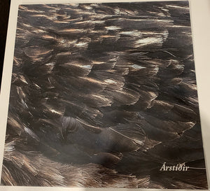 Árstíðir : Árstíðir (LP, Album, RE)