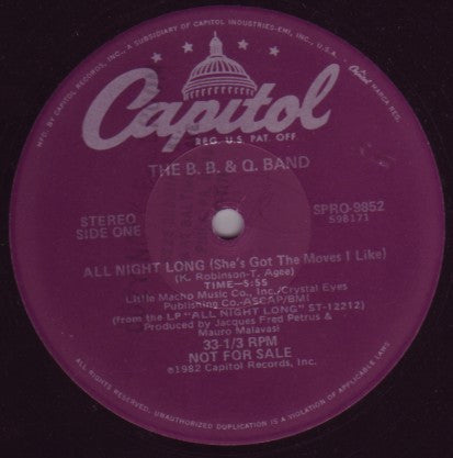 The Brooklyn, Bronx & Queens Band : All Night Long (She's Got The Moves I Like) (12