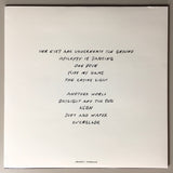 Antony And The Johnsons : The Crying Light (LP, Album, 180)