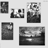 Brewer And Shipley : Weeds (LP, Album, RE)