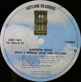 Andrew Gold : What's Wrong With This Picture? (LP, Album, SP )