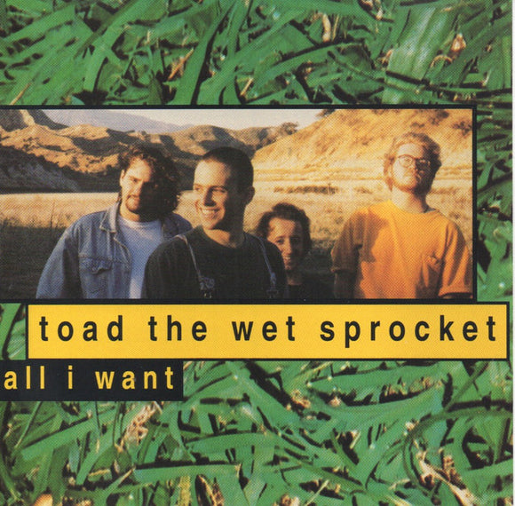 Toad The Wet Sprocket : All I Want (CD, Single)