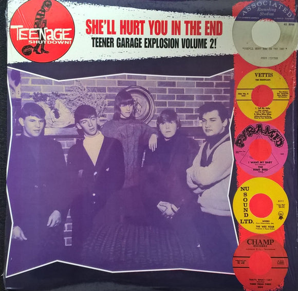 Various : She'll Hurt You In The End (Teener Garage Explosion Volume 2!) (LP, Comp)