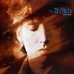 The Triffids : Calenture (LP, Album)