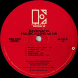 David Gates : Falling In Love Again (LP, Album, AR )