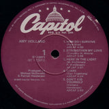 Amy Holland : Amy Holland (LP, Album)