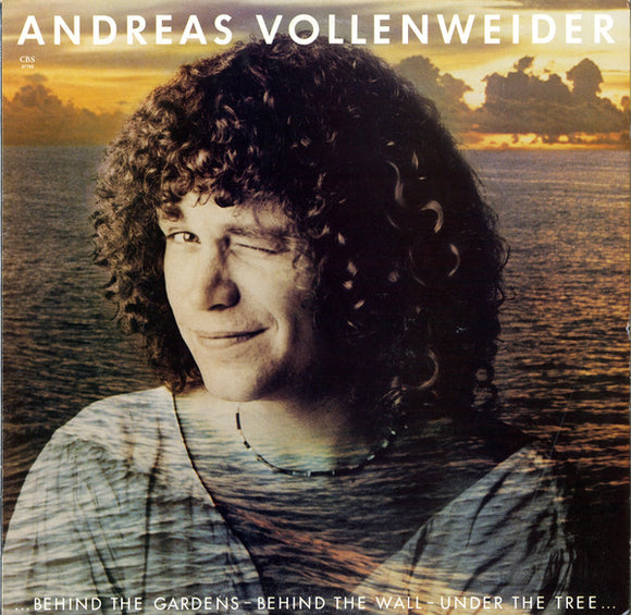 Andreas Vollenweider : ... Behind The Gardens - Behind The Wall - Under The Tree ... (LP, Album, Pit)