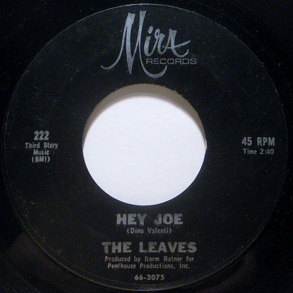 Buy The Leaves : Hey Joe / Funny Little World (7