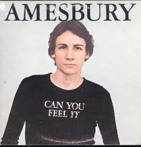 Bill Amesbury : Can You Feel It (LP, Album)