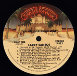 Larry Santos : You Are Everything I Need (LP, Album)