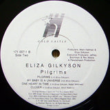 Eliza Gilkyson : Pilgrims (LP, Album)