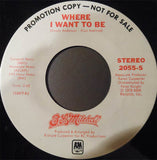 B. L. Mitchell : Where I Want To Be (7", Promo)