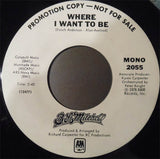 B. L. Mitchell : Where I Want To Be (7", Promo)