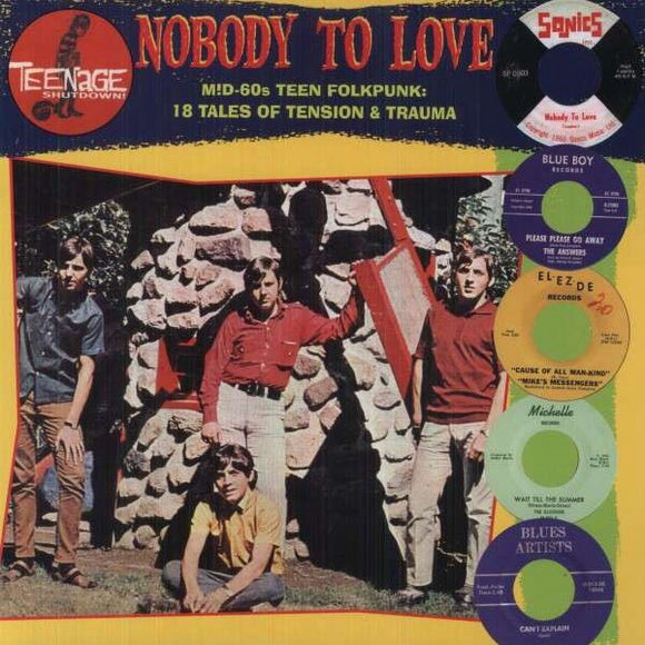 Various : Nobody To Love (Mid-60's Teen Folkpunk: 18 Tales Of Tension & Trauma) (LP, Comp, RP)