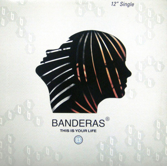 Banderas : This Is Your Life (12