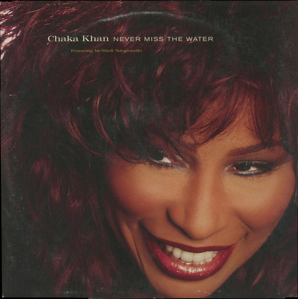 Chaka Khan Featuring Me'Shell NdegéOcello : Never Miss The Water (12