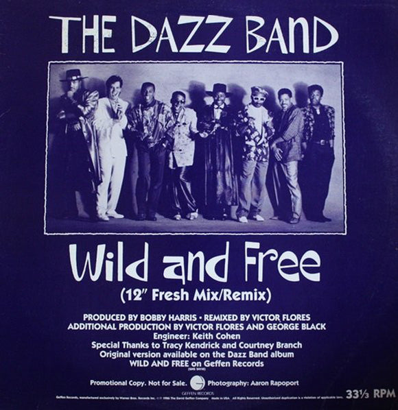 Dazz Band : Wild And Free / Last Chance For Love (12