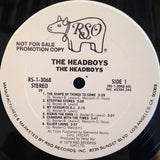 The Headboys : The Headboys (LP, Album, Promo)