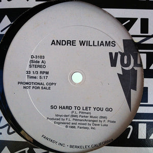 Andre Williams (2) : So Hard To Let You Go (12", Single, Promo)