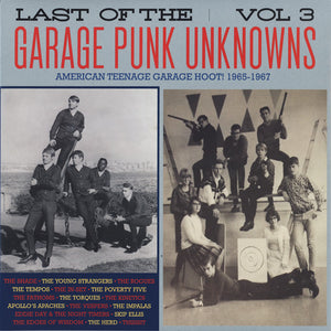 Various : Last Of The Garage Punk Unknowns Vol.3 (LP, Comp, Gat)