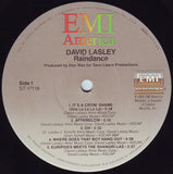 David Lasley : Raindance (LP, Album)