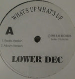 Lower Dec : What's Up What's Up (12")