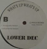 Lower Dec : What's Up What's Up (12")