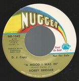 Bobby Bridger : Shelter Of My Mind (7", Promo)