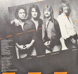 Player (4) : Danger Zone (LP, Album)