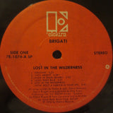 Brigati* : Lost In The Wilderness (LP, Album)