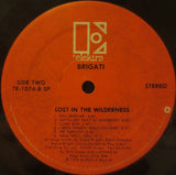 Brigati* : Lost In The Wilderness (LP, Album)