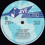 Tangerine Dream : Warsaw In The Sun (12", Single)