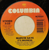 Marvin Gaye : It's Madness (7", Single)