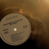 David Lindley And El Rayo-X : Very Greasy (LP, Album, Promo, Qui)